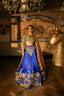 Neelambari Lehenga