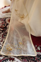 Inaya Organza Cape With Bustier And Circular Palazo