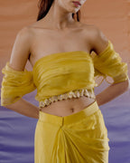 Yellow Tulip