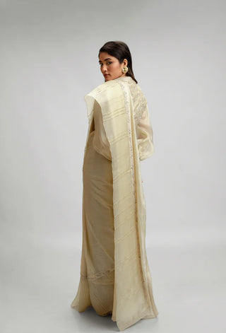 Tussar Silk And Organza Saree Set