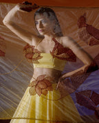 Spring Fall Lehenga
