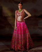 Phagun Dandelion Lehenga
