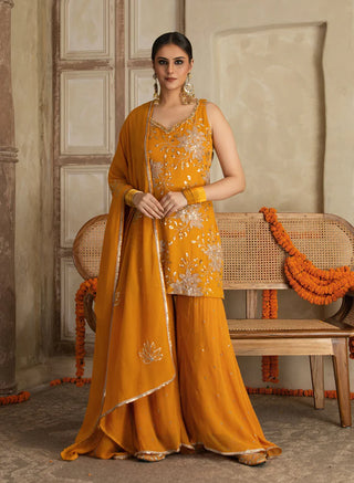 Bhuvaneshwari Chita Work Gharara Set