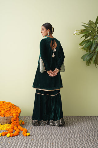 Maroon Velvet Scallop Sharara