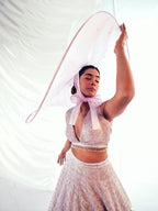Euphoria Glass Lehenga
