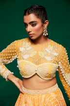 Solea Lehenga