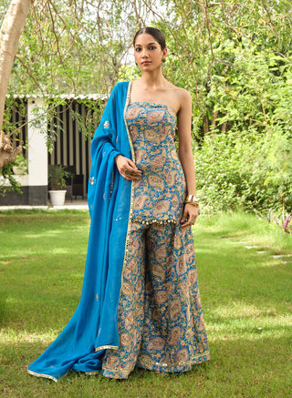 Inaaya Pasley Sharara Set