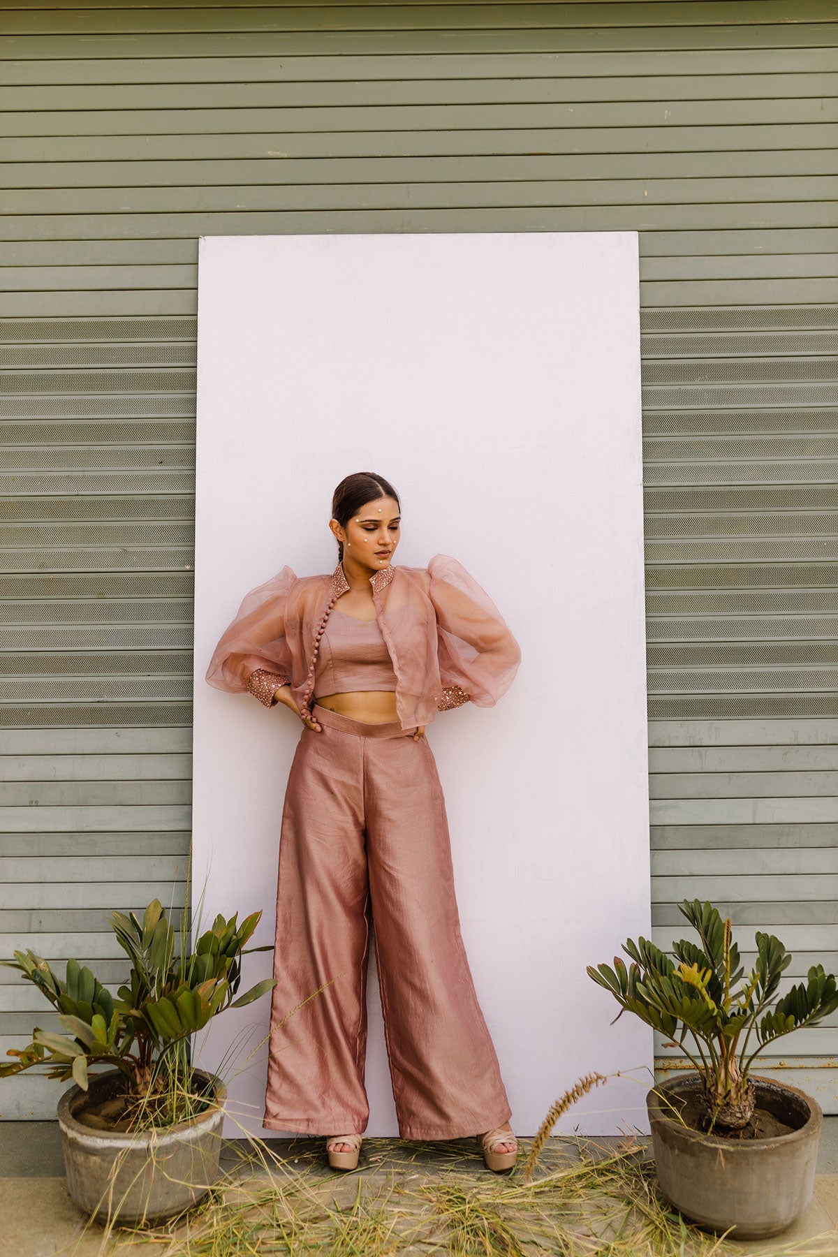 Chirp23