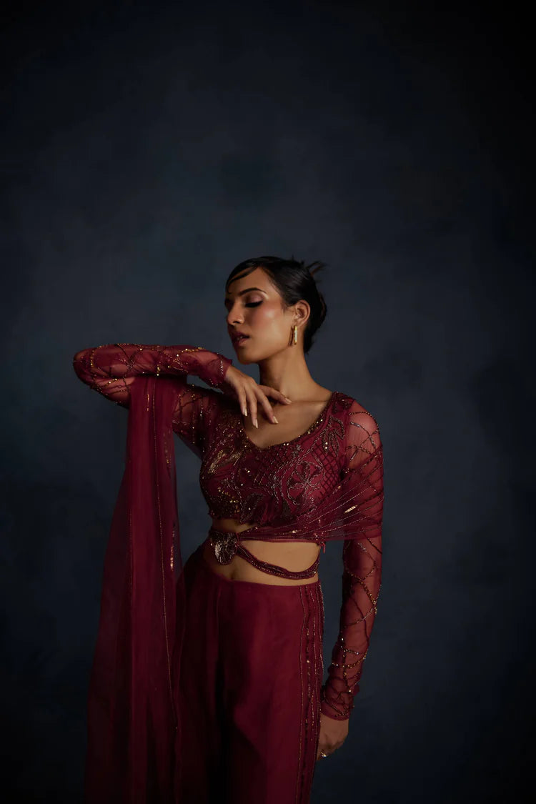 Etheral Palazzo Drape Saree