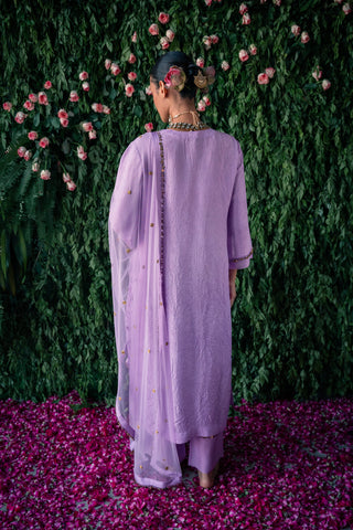 Rounded Neck Kurta Set with Floral and Sequin Embroidery