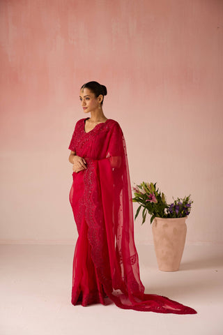 Dastaan Saree