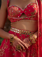 Rasika Printed Lehenga Set