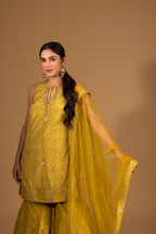 Banarsi Kali Sharara Set