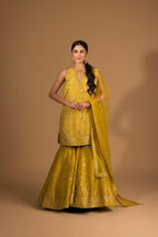 Banarsi Kali Sharara Set