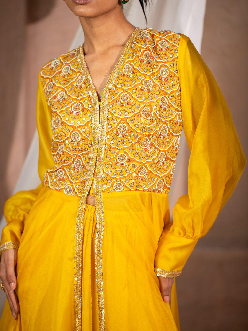 Embroidered Organza Flare Anarkali