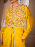 Embroidered Organza Flare Anarkali