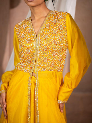 Embroidered Organza Flare Anarkali