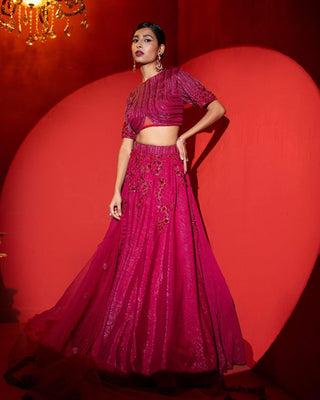 Sequins Embellished Lehenga Set