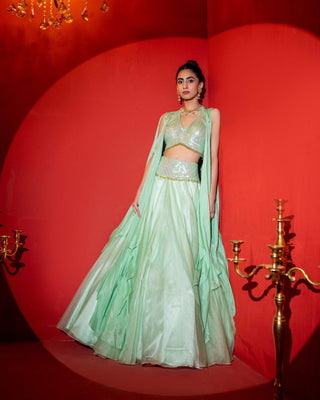 Tonal Sequin Embroidered Lehenga with Cape Style Dupatta