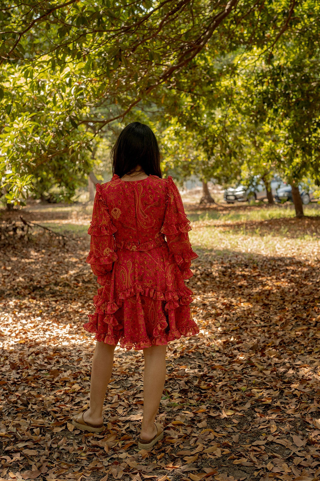 Bhoomi's Dress