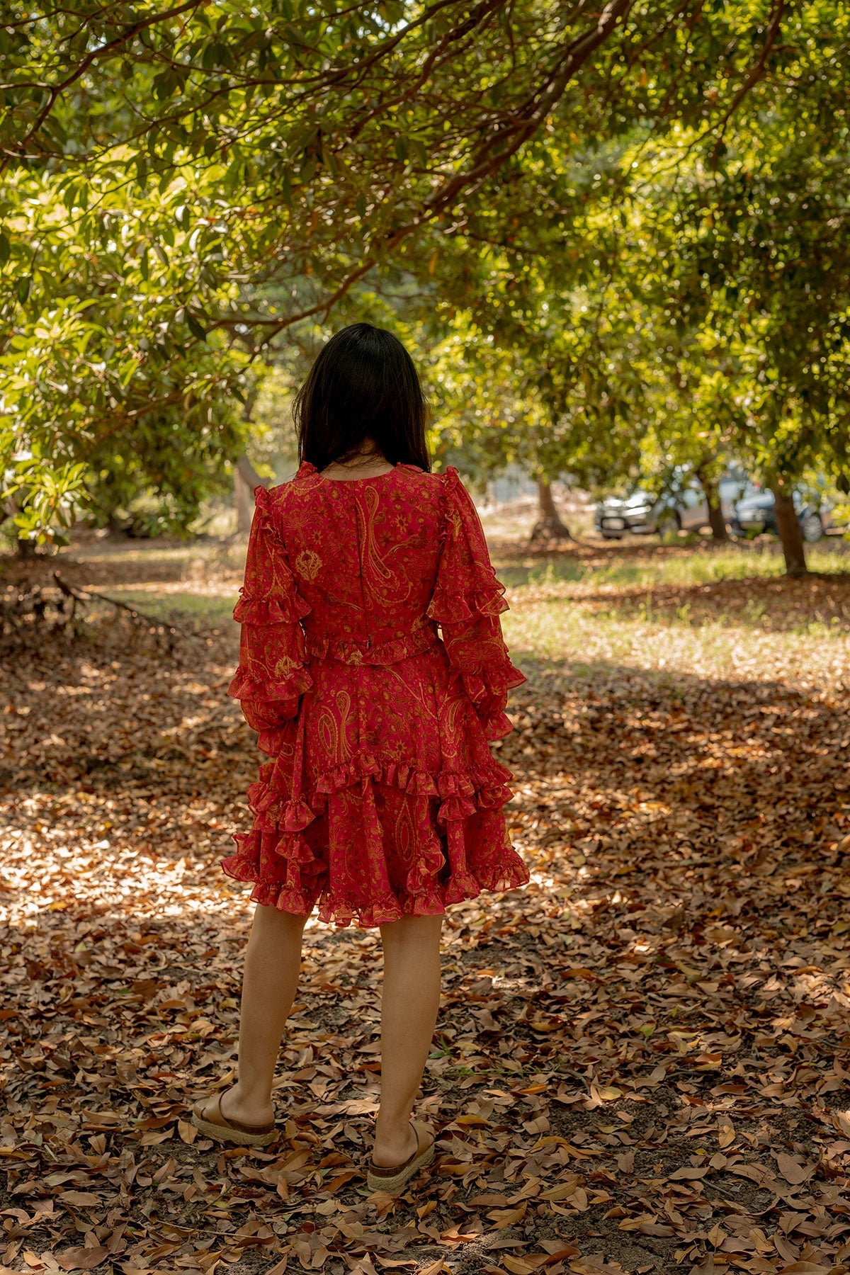 Bhoomi's Dress