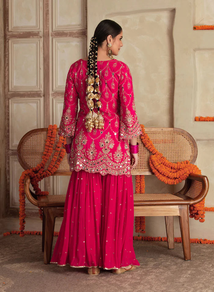 Vallia Mirror Work Sharara Set