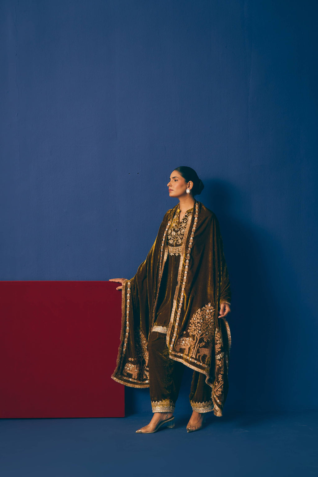 Zehra Aari Velvet Odhni