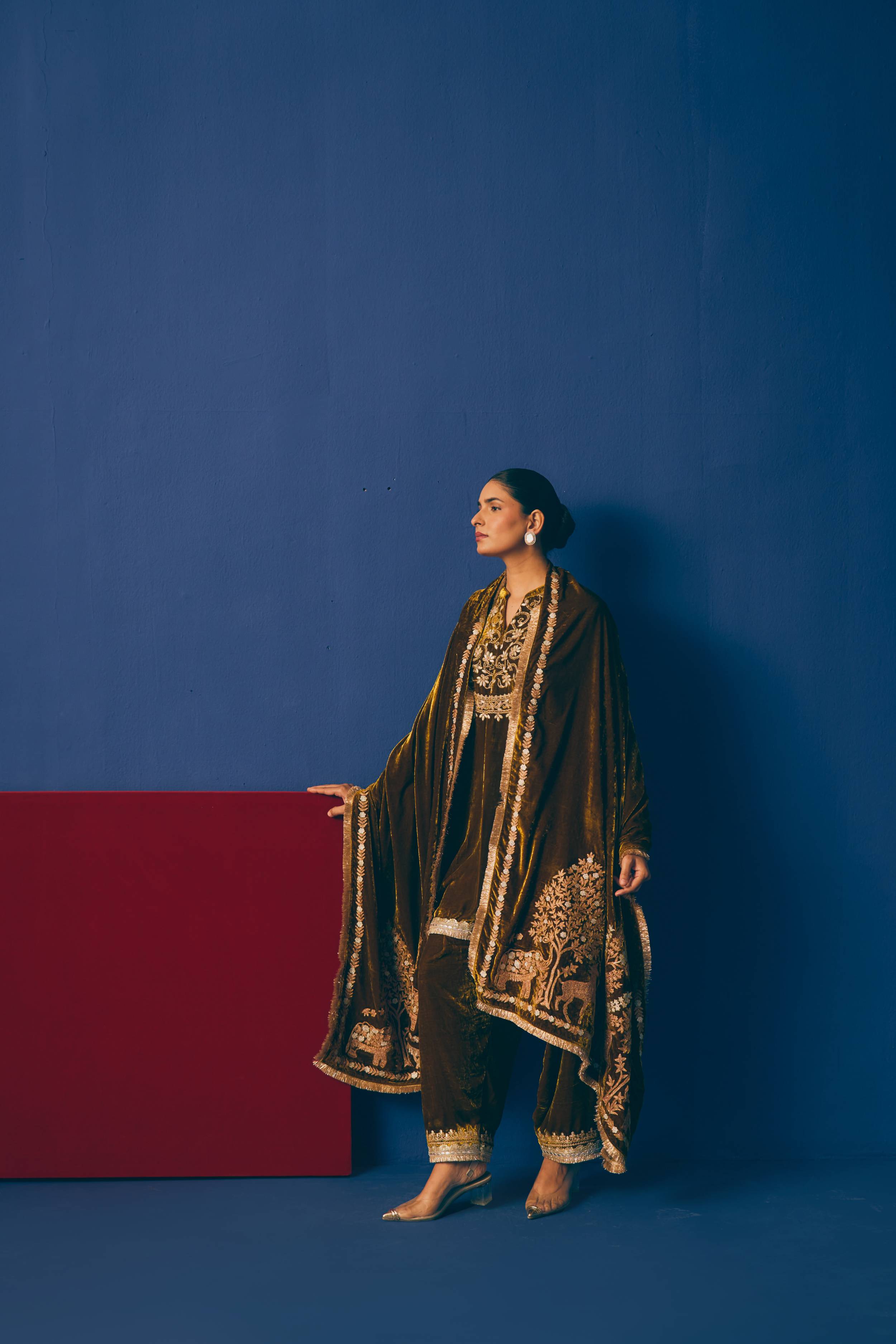 Zehra Aari Velvet Odhni