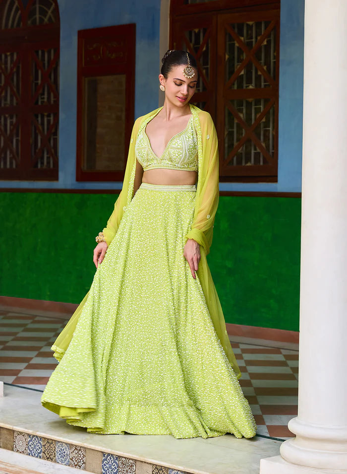 Bani Pearl Embroidery Lehenga Set