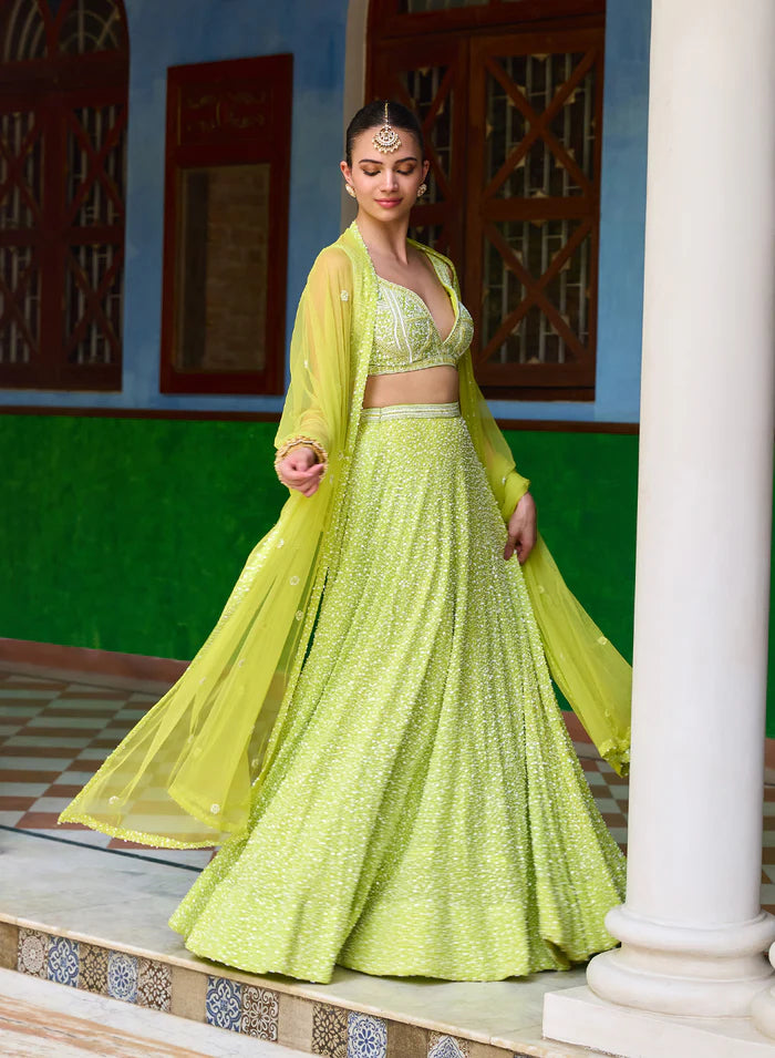 Bani Pearl Embroidery Lehenga Set